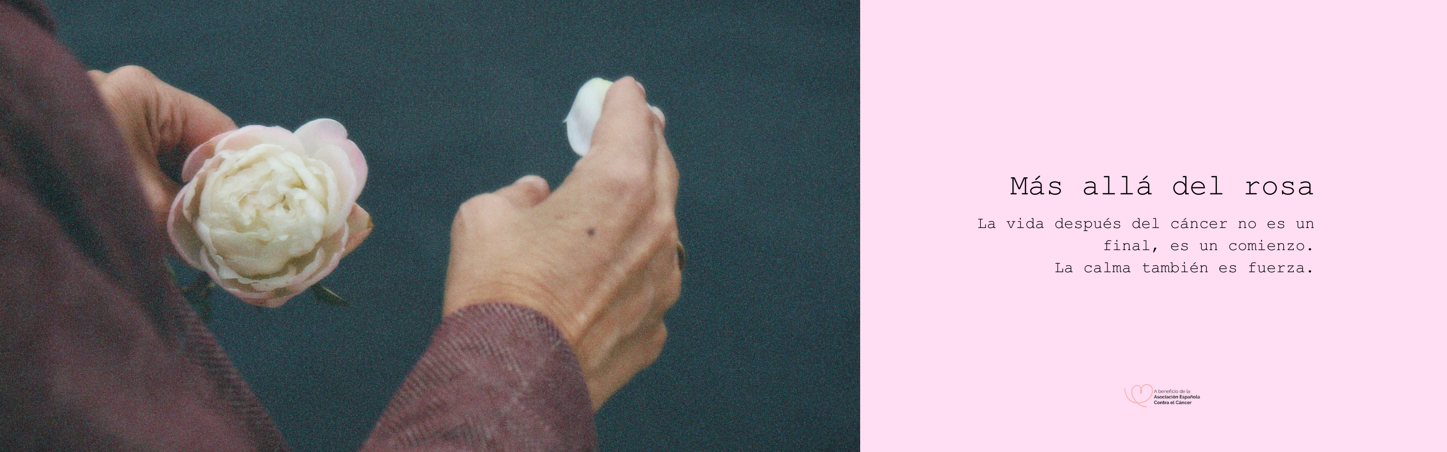 image-banner